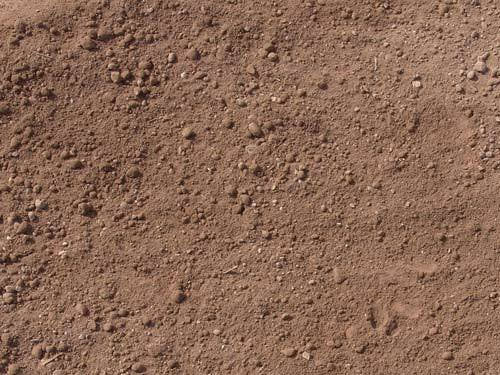 TIERRA VEGETAL