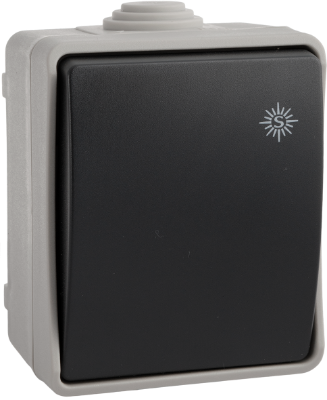 INTERRUPTOR CONMUTADO IP54
