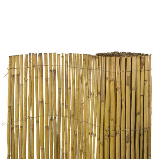 CAÑA PARTIDA 1X5 (CAÑIZO)